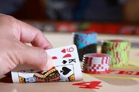 duck dice